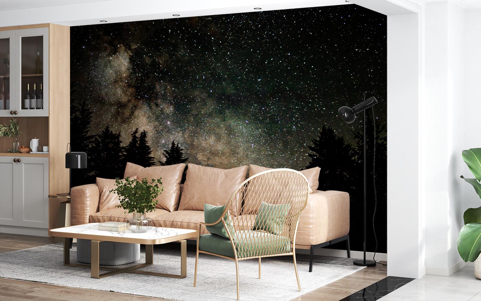 Fototapet pădurea noaptea și cerul înstelat