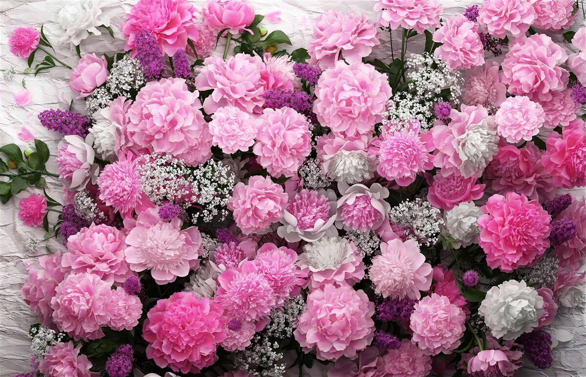 Fototapet număr mare de bujori roz