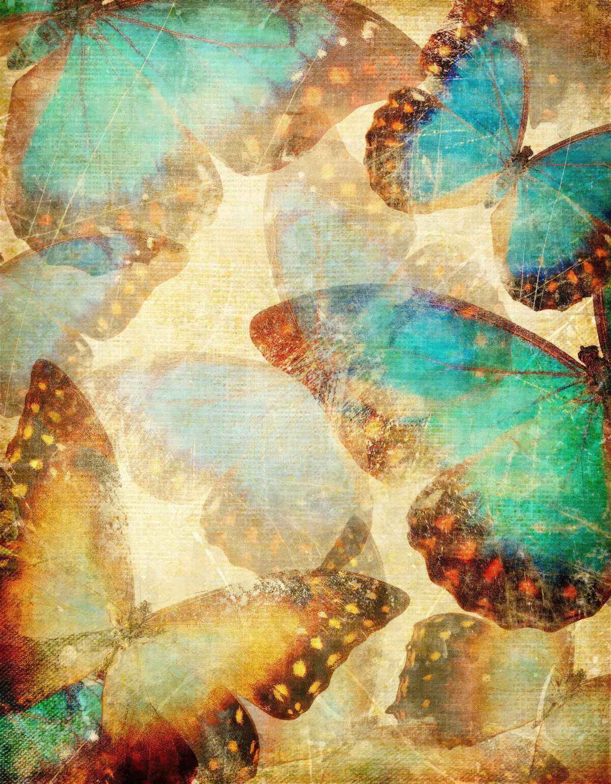 Fototapet molii mari