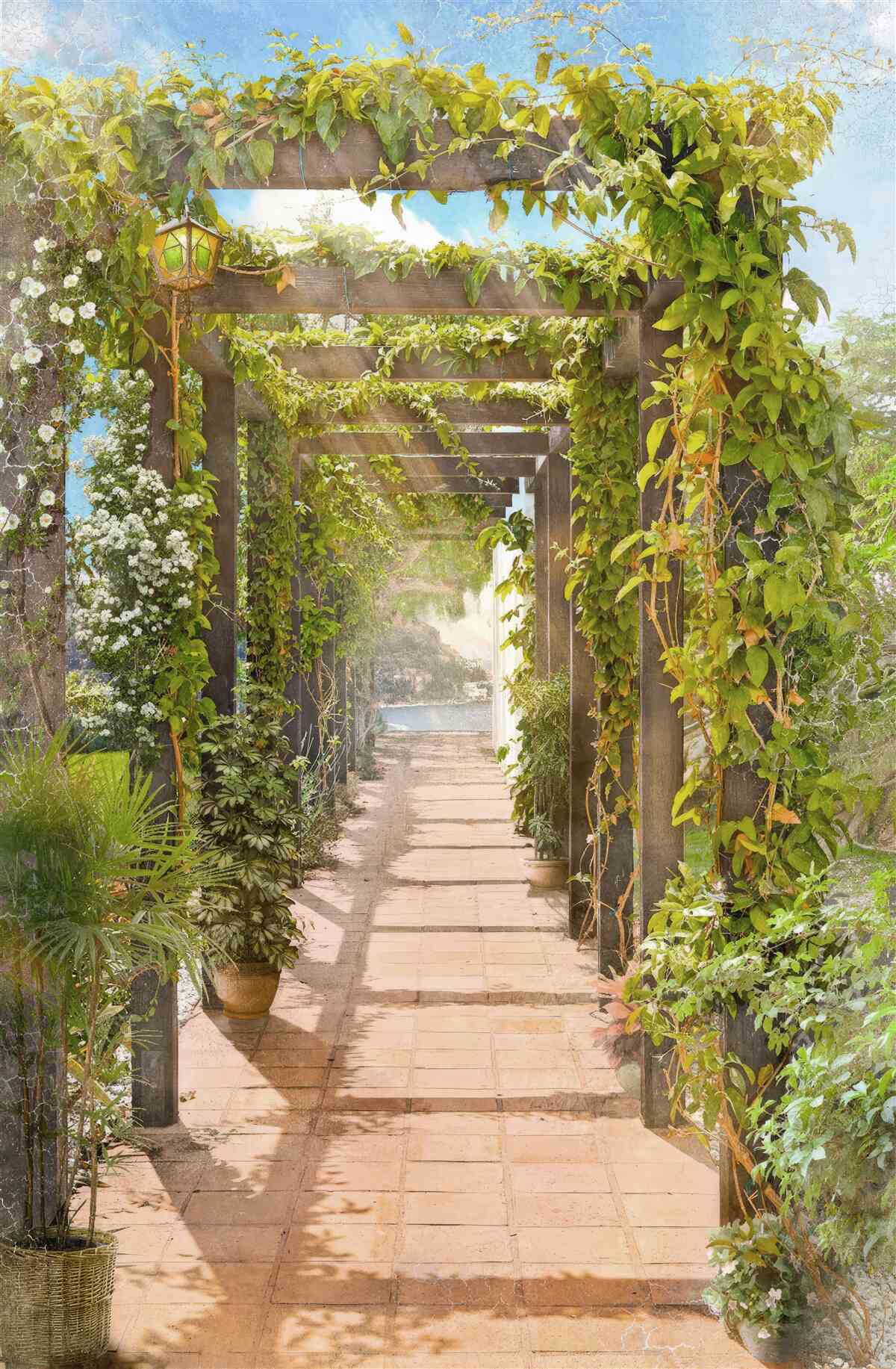 Fototapet traversând o verdeață încâlcită