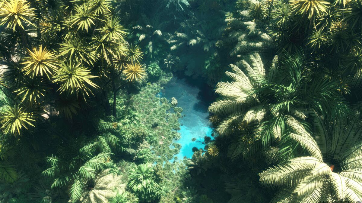 Fototapet vedere panoramică de sus a frunzișului și a suprafeței apei