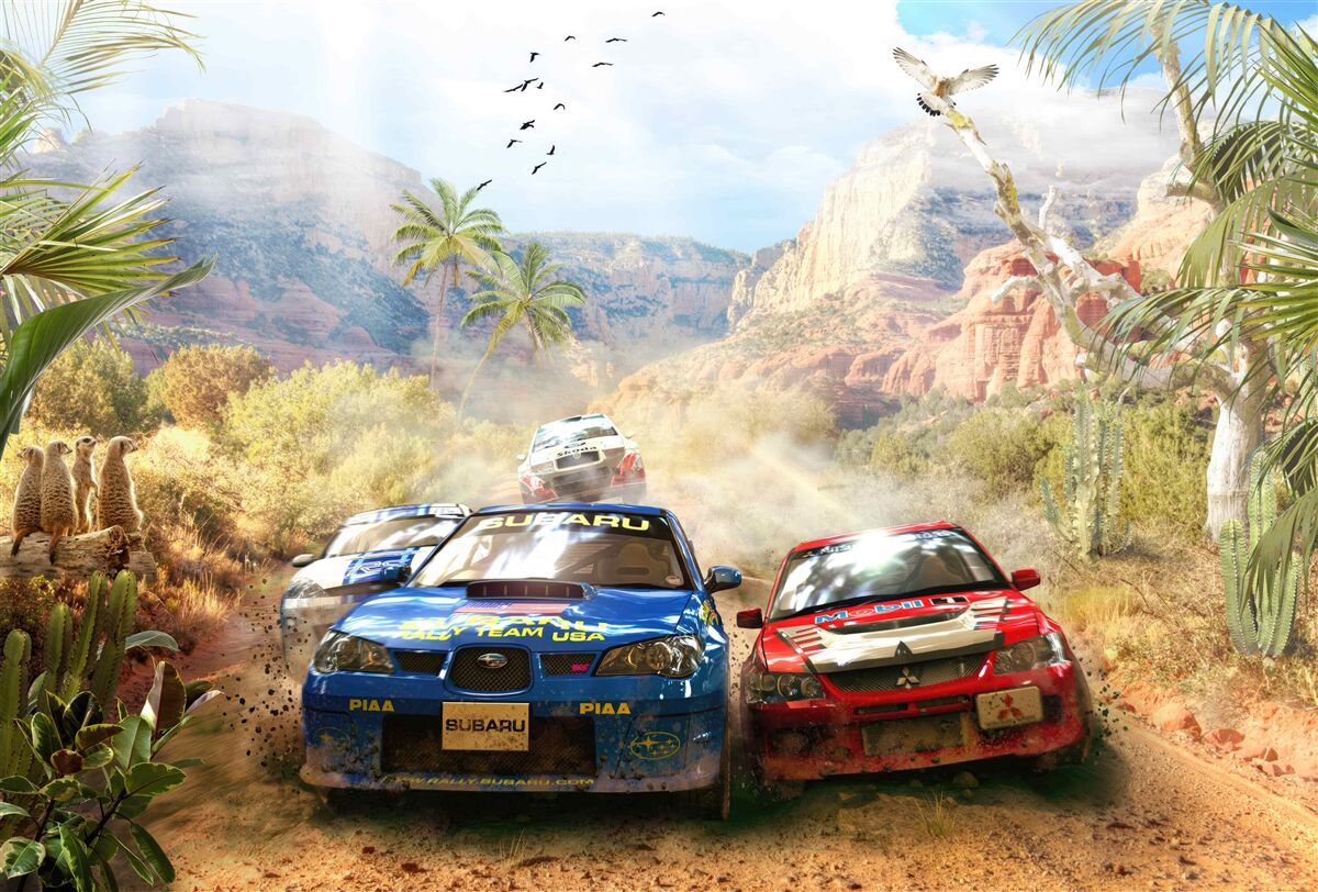 Fototapet curse în deșert