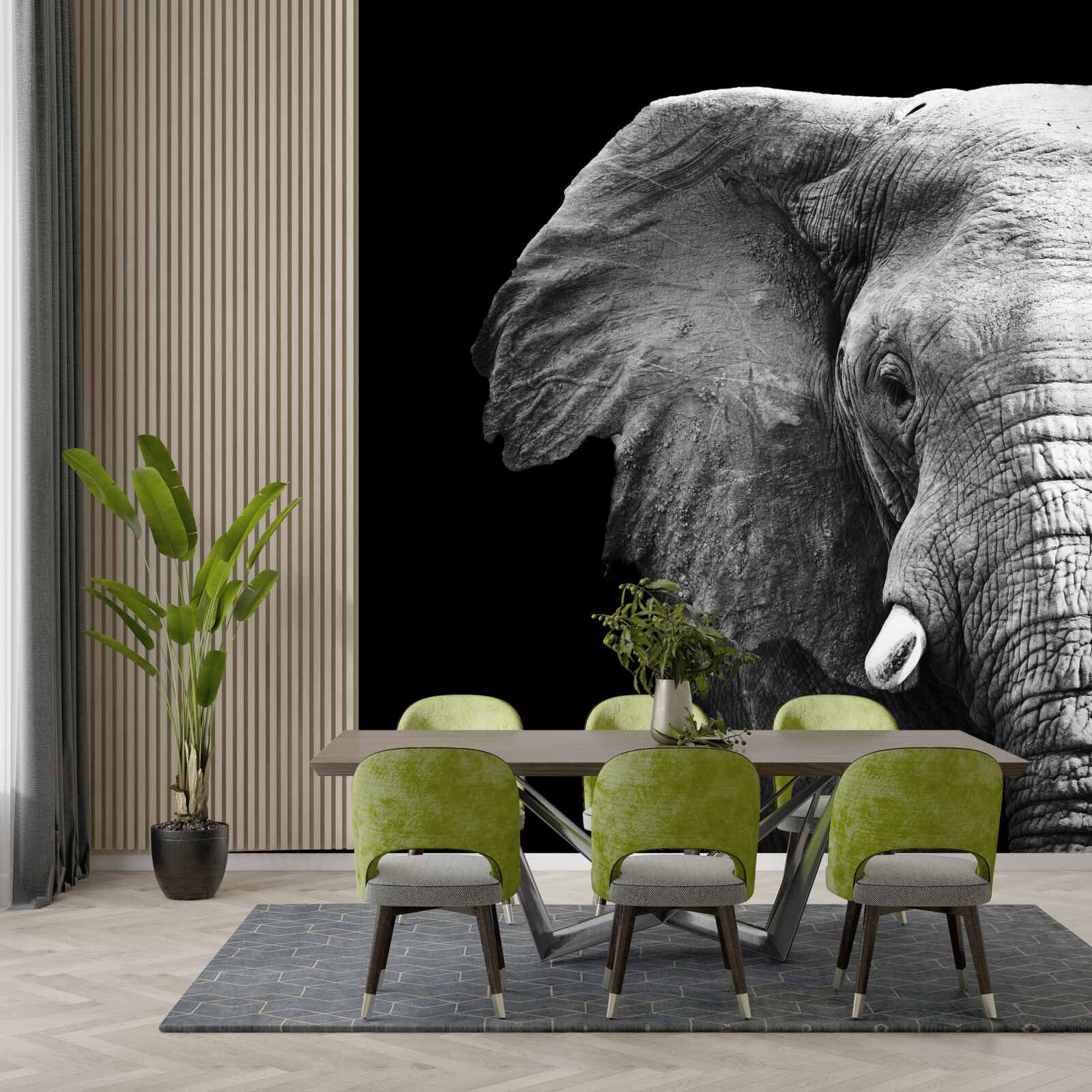 Fototapet close-up al unui elefant pe un fundal negru