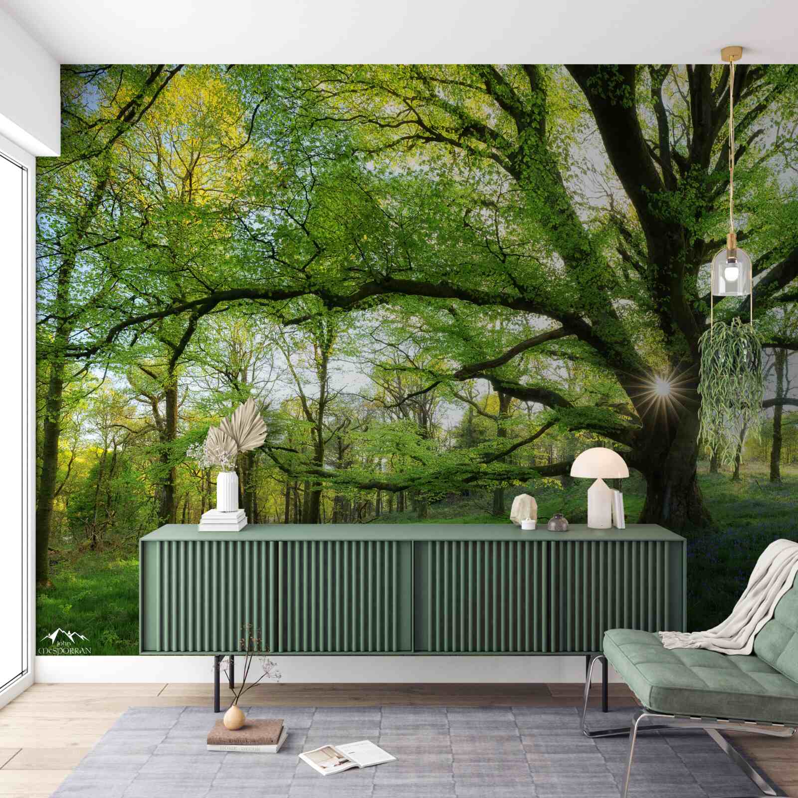 Fototapet frumoasă pădure verde