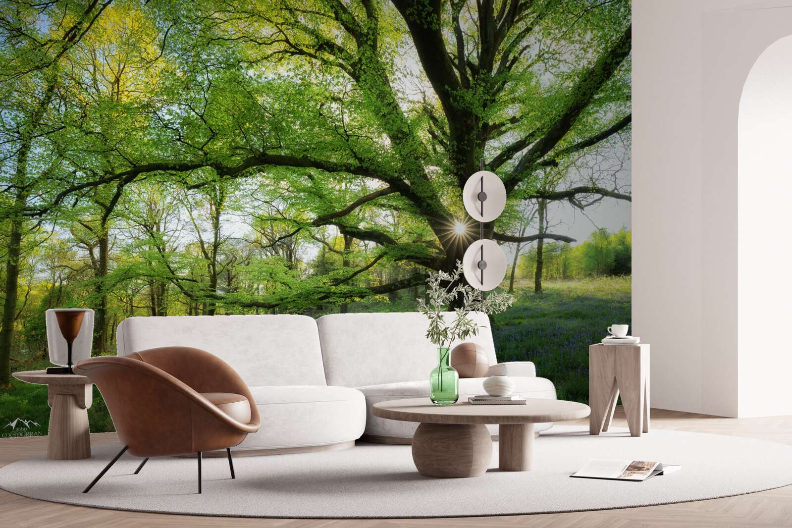 Fototapet frumoasă pădure verde