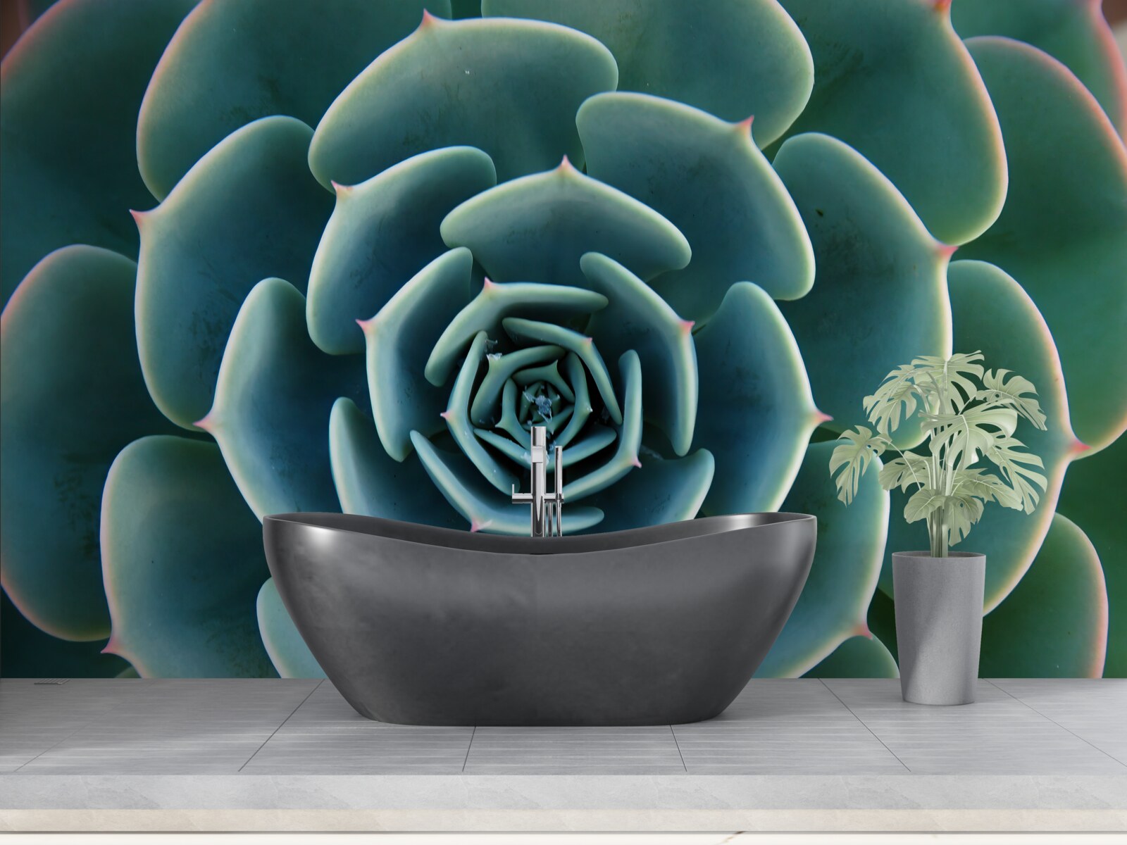 Fototapet imagine de aproape a unei suculente