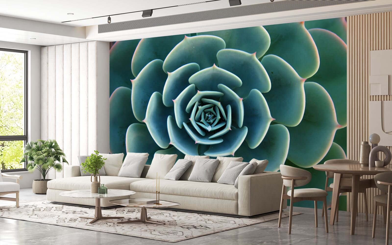 Fototapet imagine de aproape a unei suculente