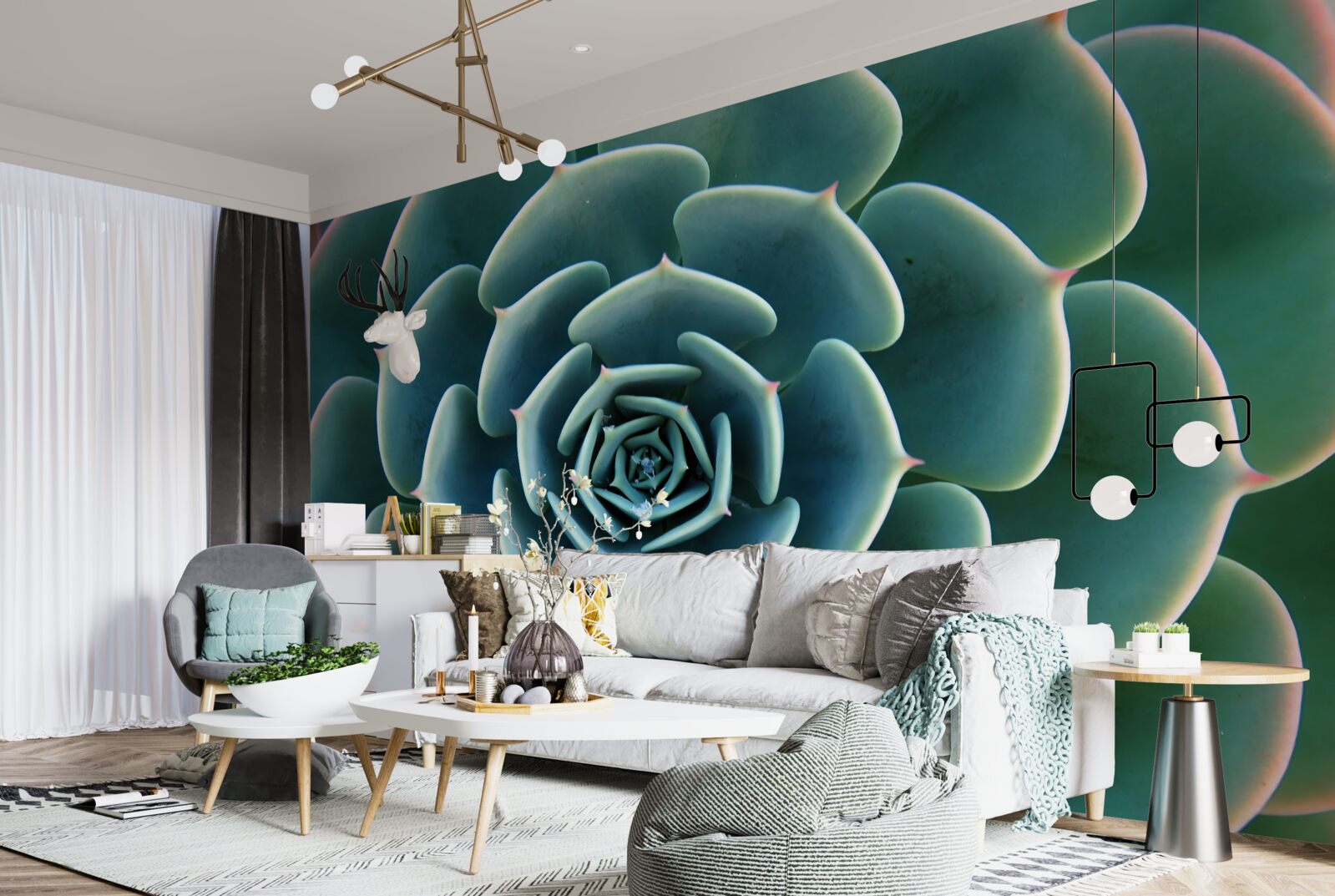 Fototapet imagine de aproape a unei suculente