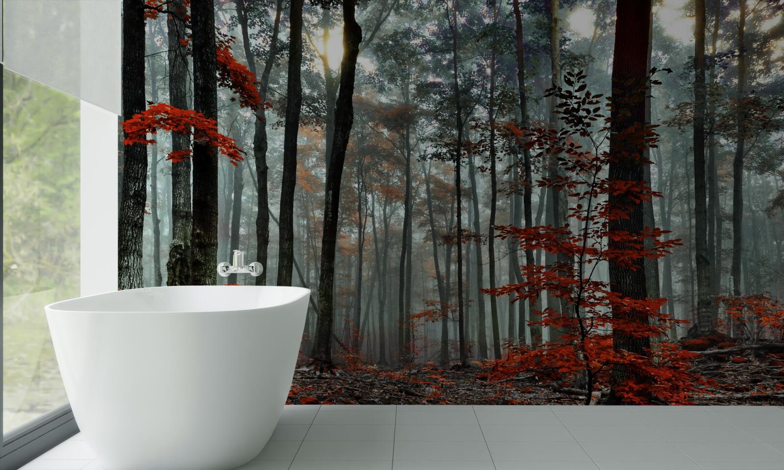 Fototapet pădure fără frunze toamna