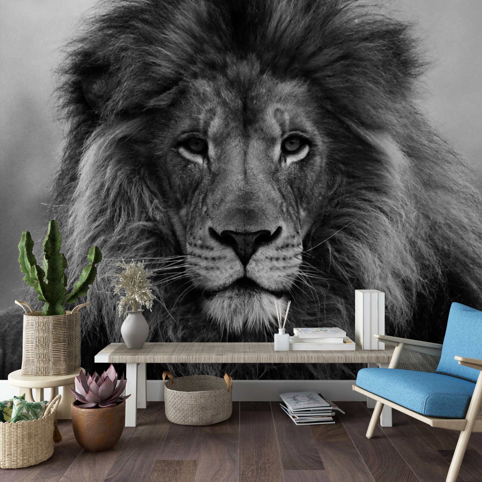 Fototapet imaginea unui leu matur