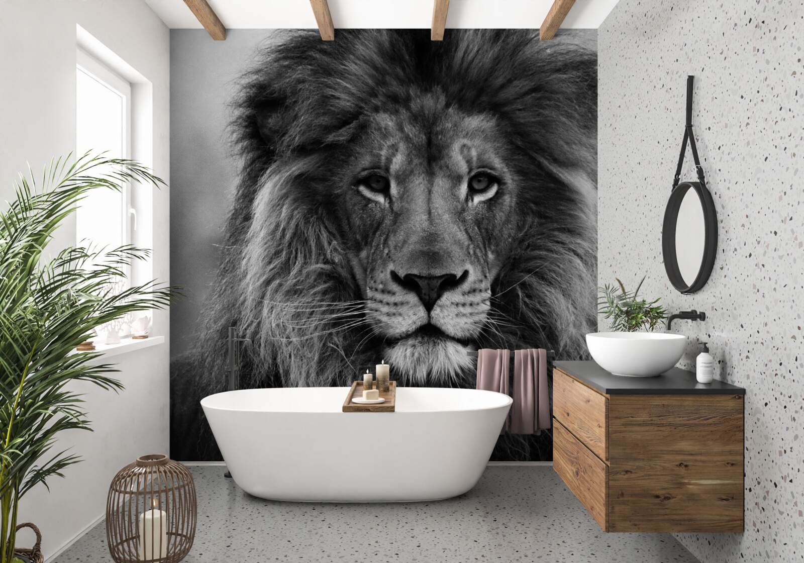 Fototapet imaginea unui leu matur