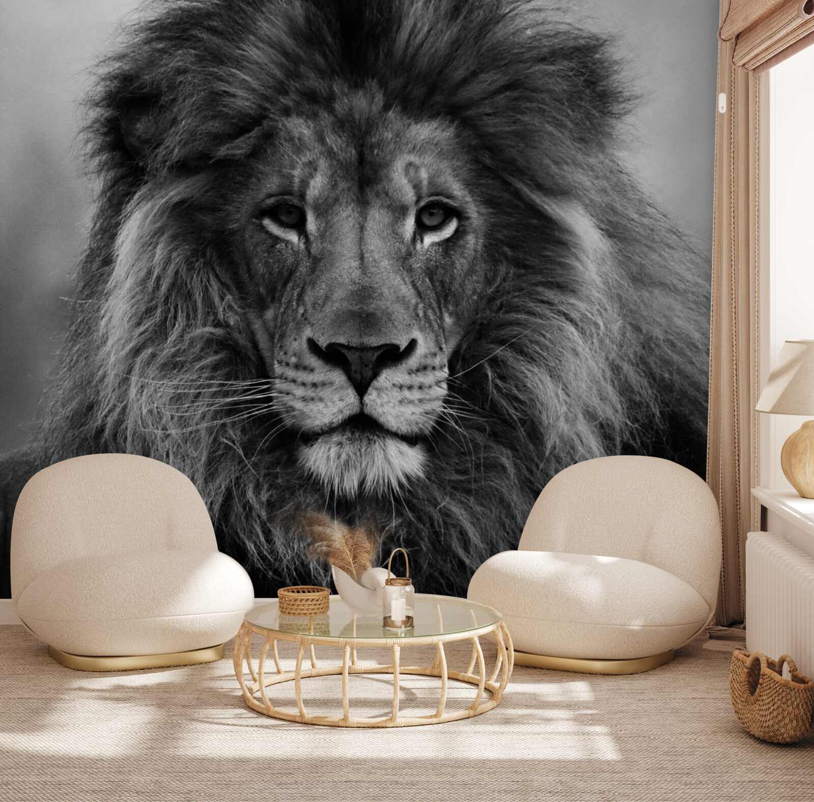 Fototapet imaginea unui leu matur