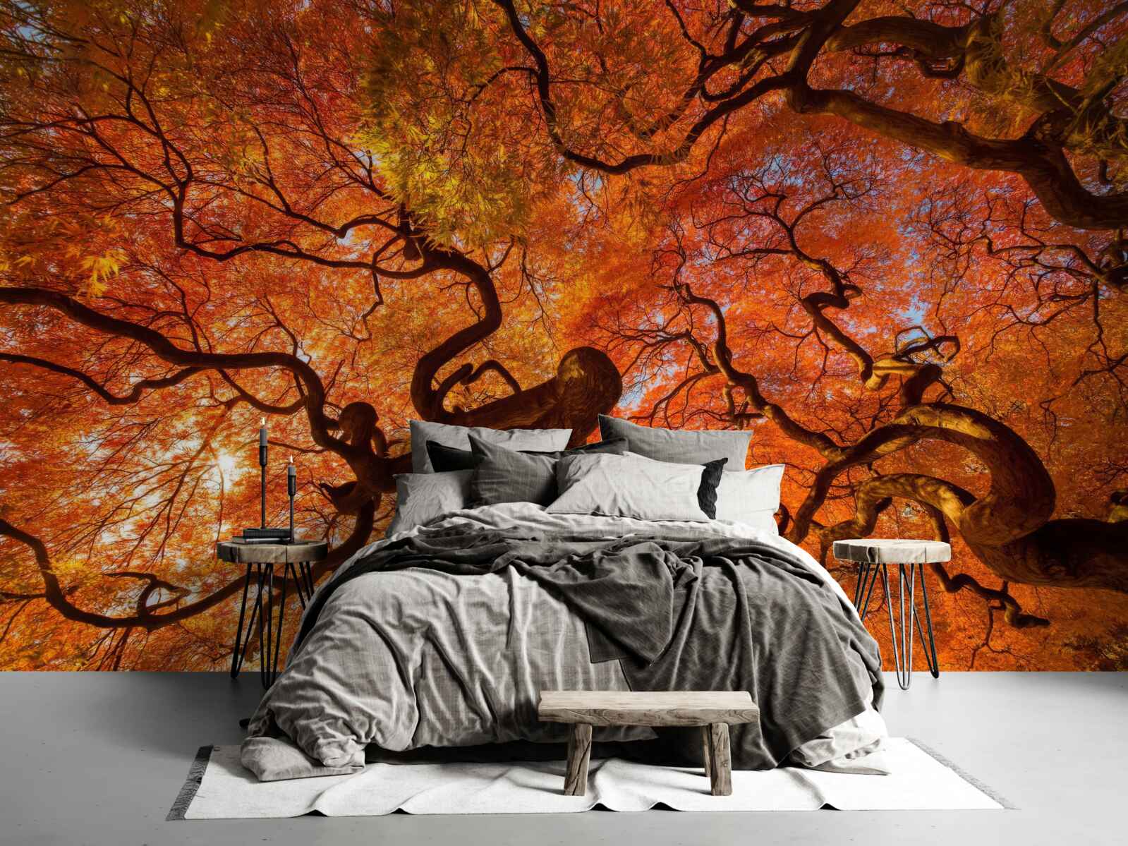 Fototapet Vedere de jos a copacului în toamnă