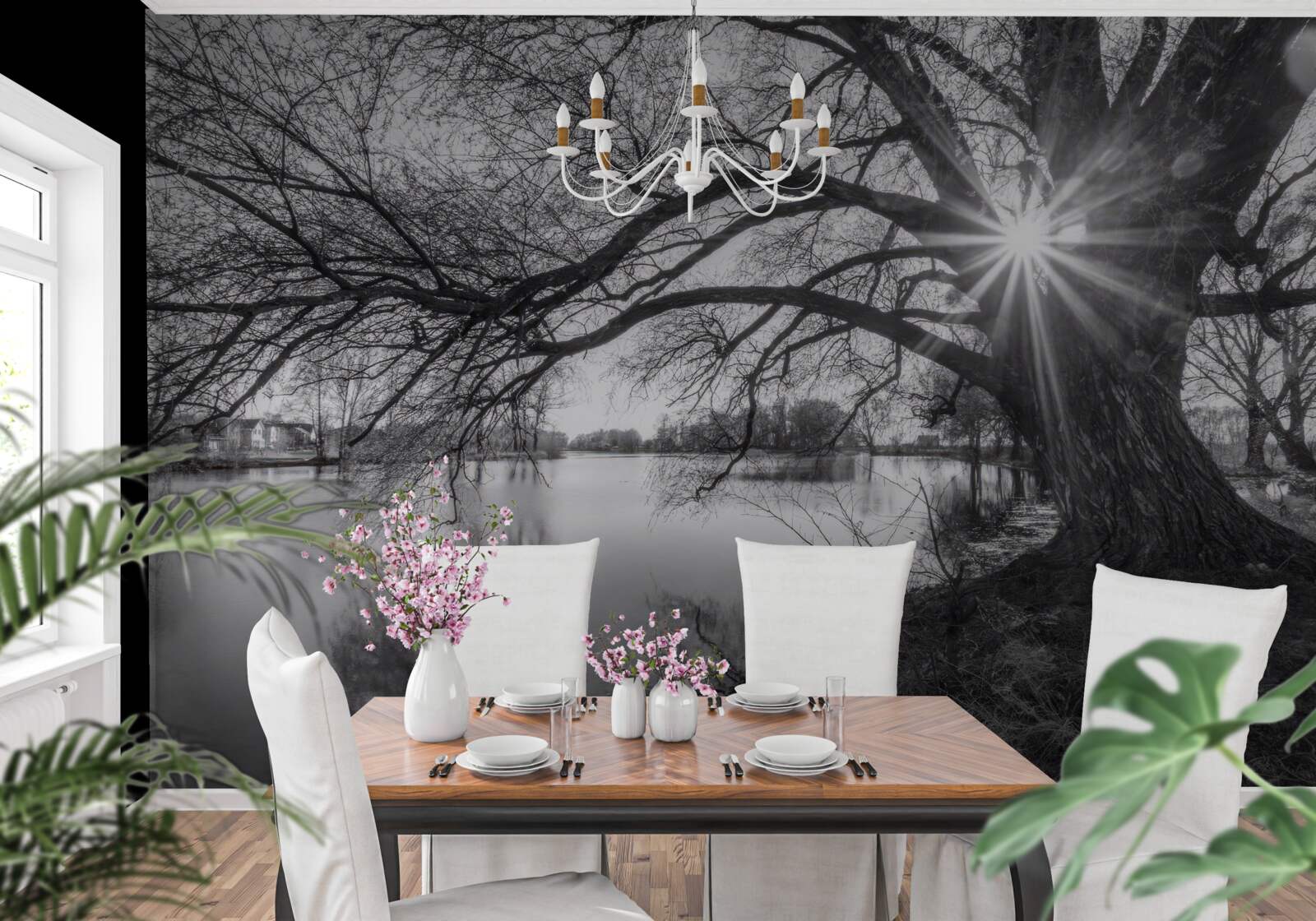 Fototapet o rază de soare pătrunde printre ramurile unui copac din apropierea apei