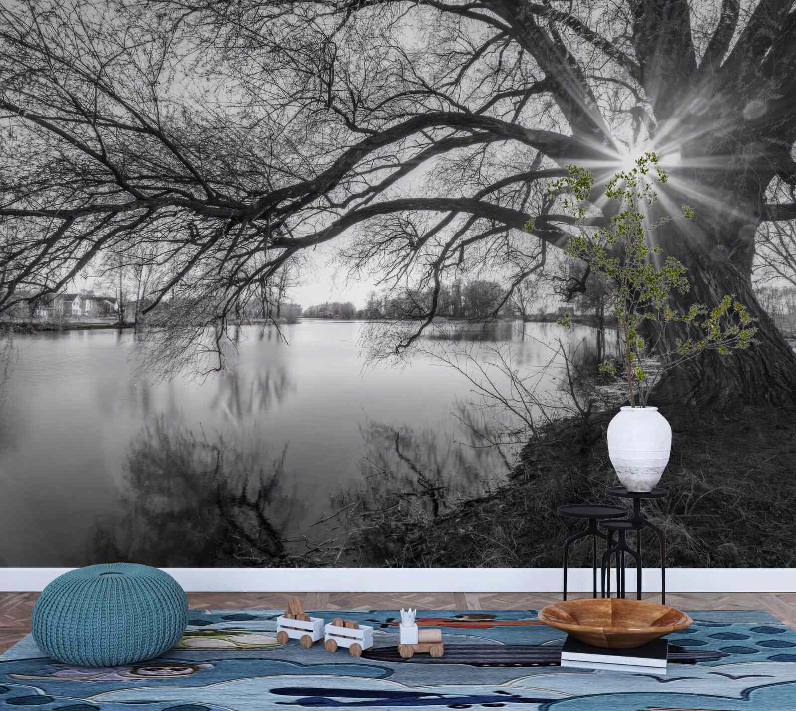 Fototapet o rază de soare pătrunde printre ramurile unui copac din apropierea apei