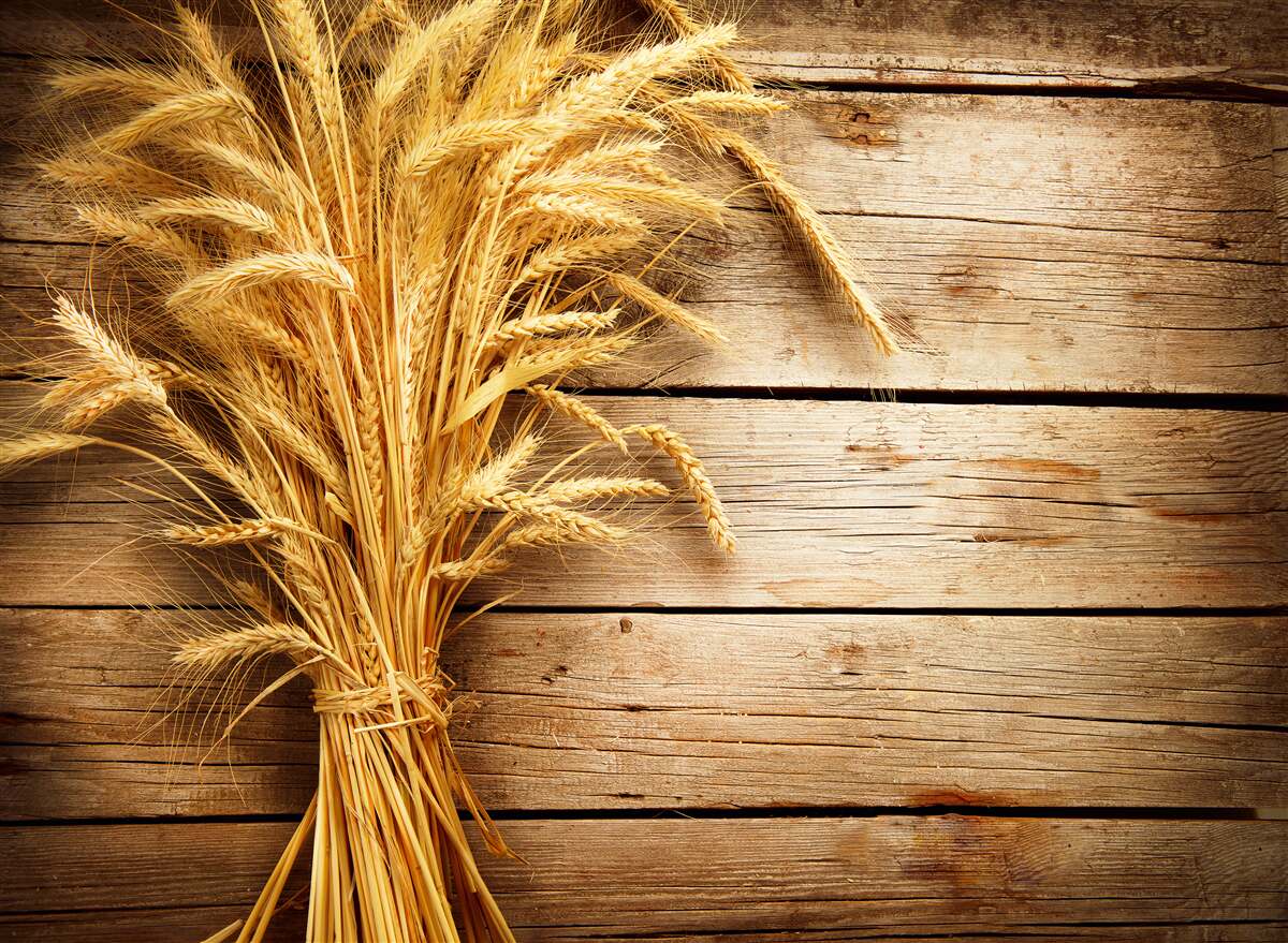 Fototapet mănunchi de spice de grâu
