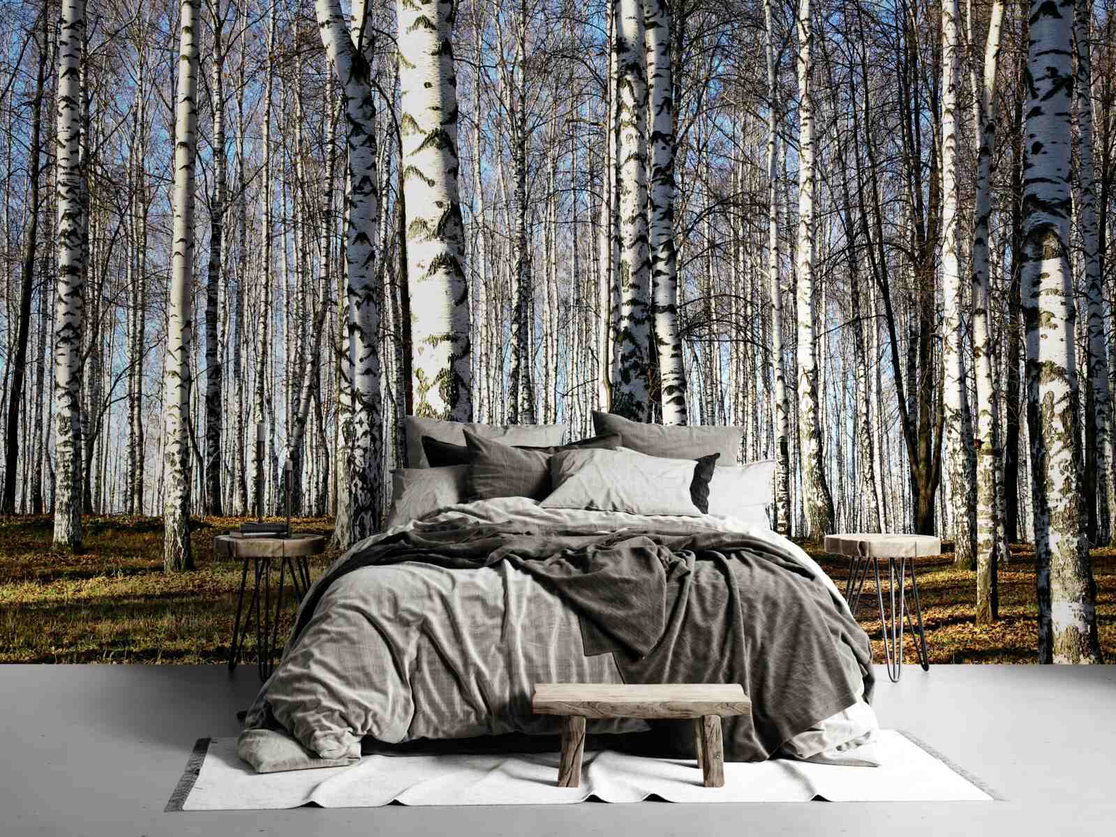 Fototapet frunzele au căzut din copaci