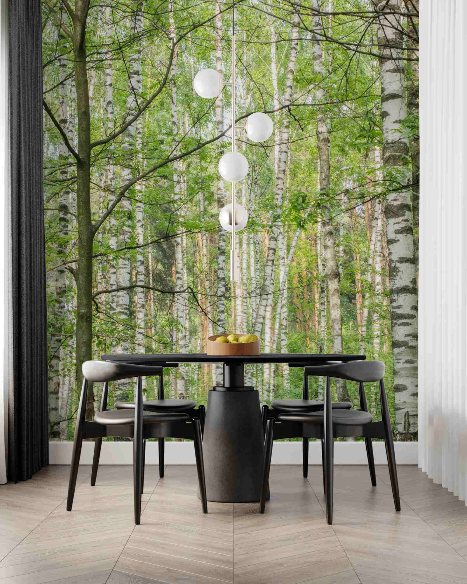 Fototapet pădure dens acoperită cu mesteceni