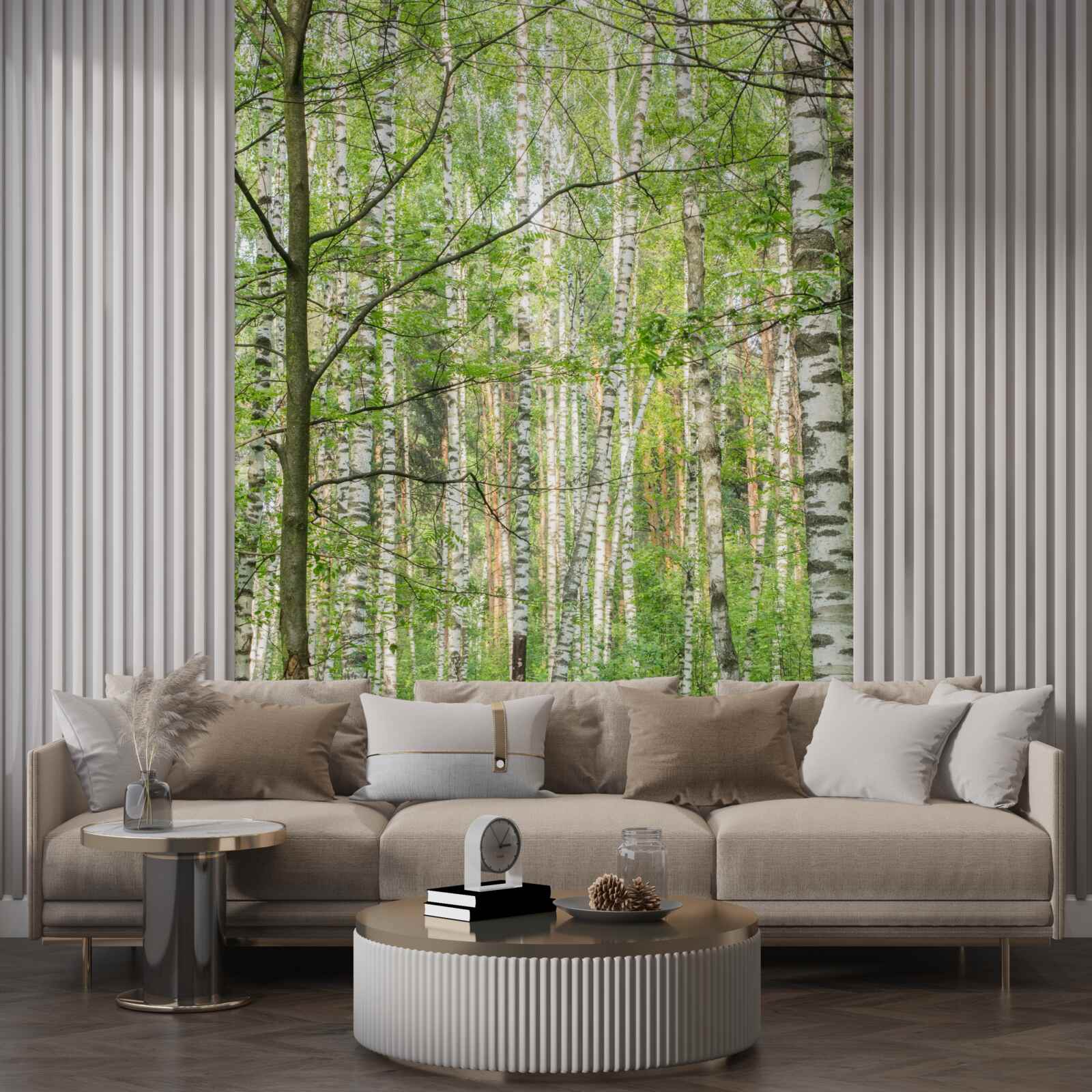 Fototapet pădure dens acoperită cu mesteceni