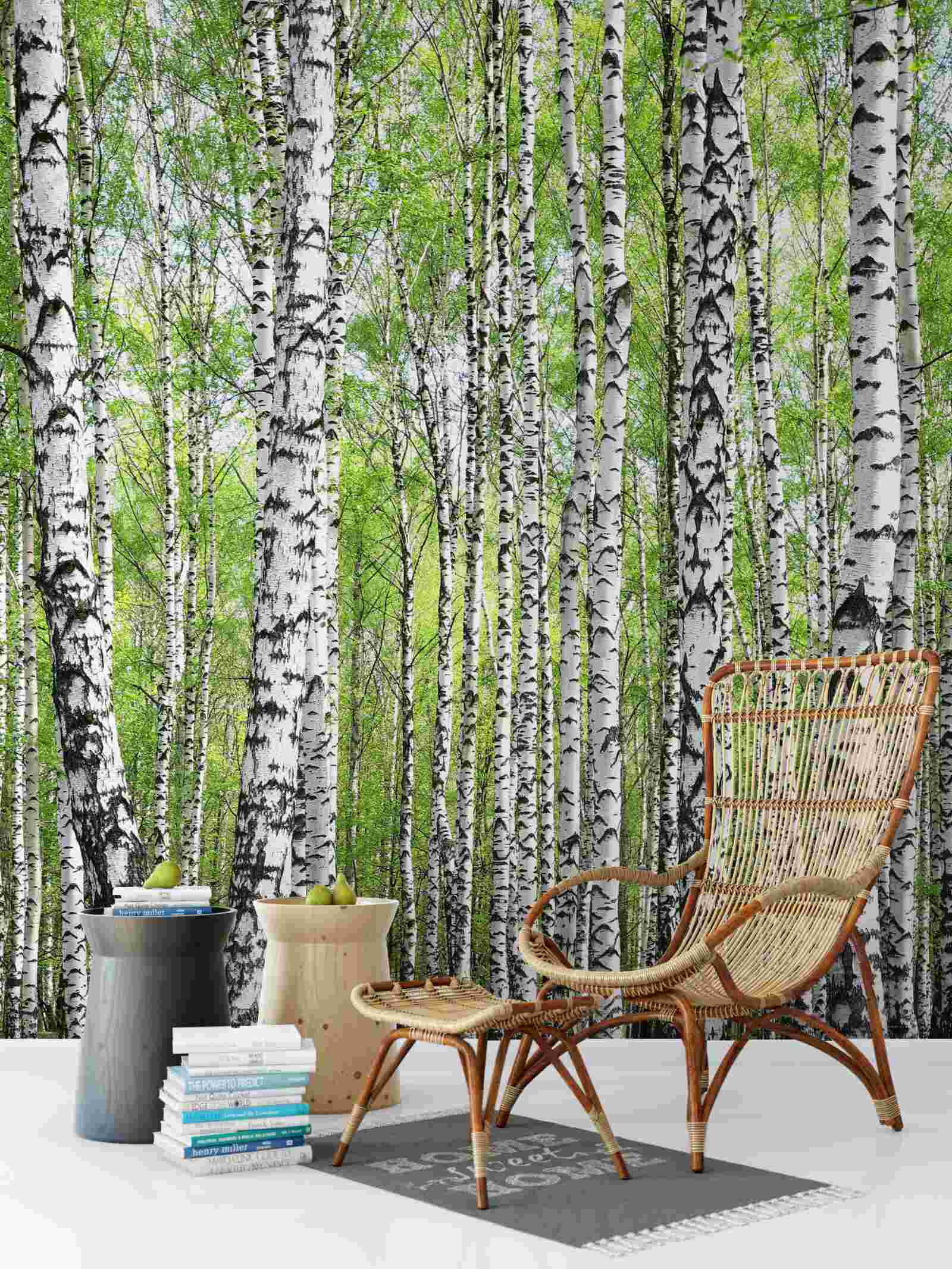 Fototapet frumoasă pădure de mesteacăn