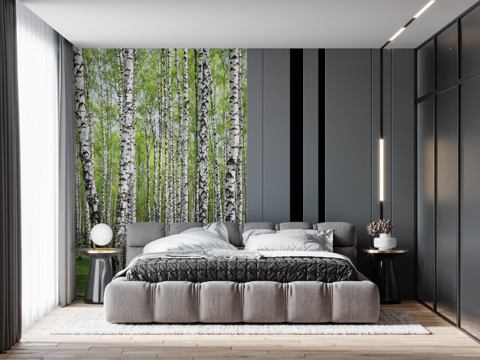 Fototapet frumoasă pădure de mesteacăn