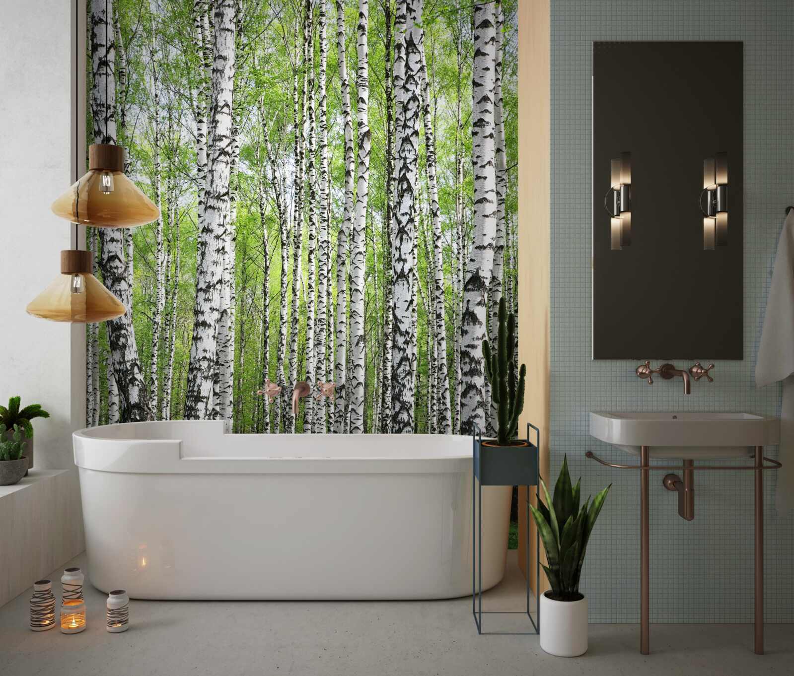 Fototapet frumoasă pădure de mesteacăn