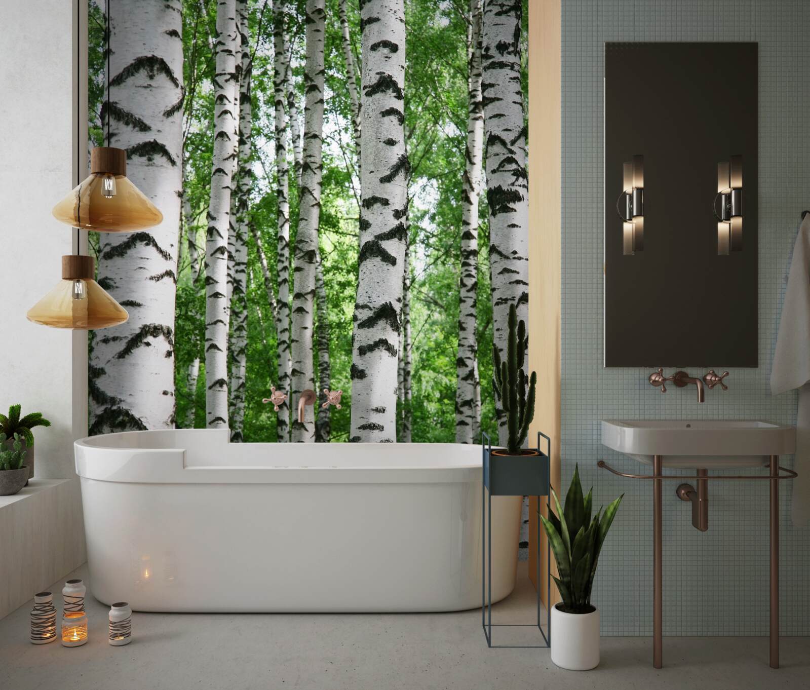 Fototapet rânduri de mesteceni subțiri