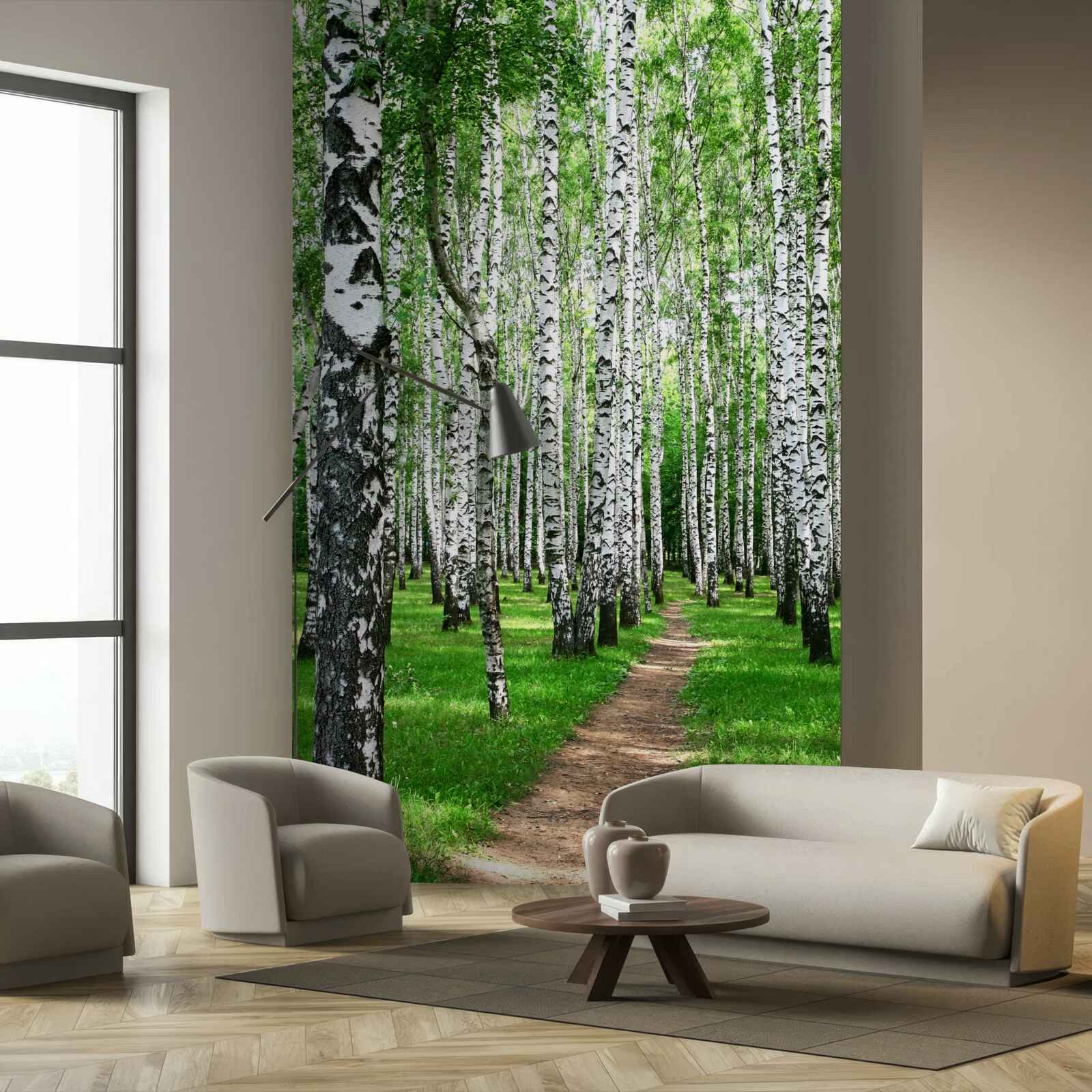 Fototapet cărare printre mesteceni