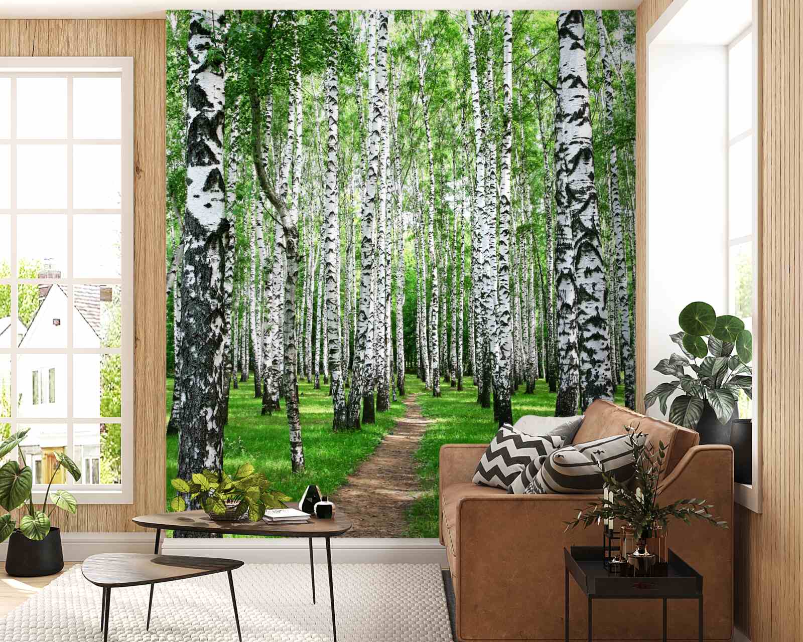 Fototapet cărare printre mesteceni