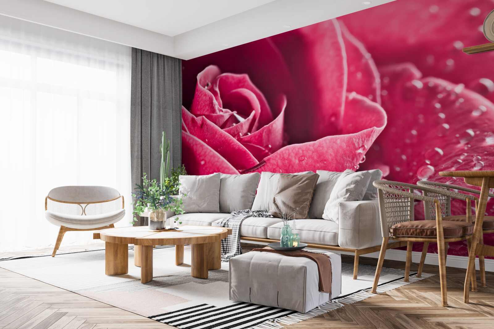 Fototapet trandafir mare cu picături de umiditate