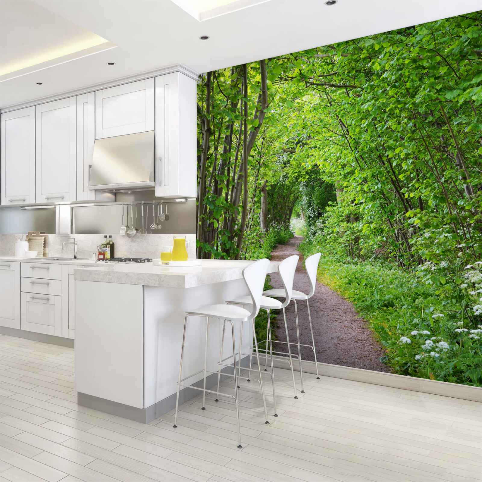 Fototapet cale prin pădurea de smarald densă