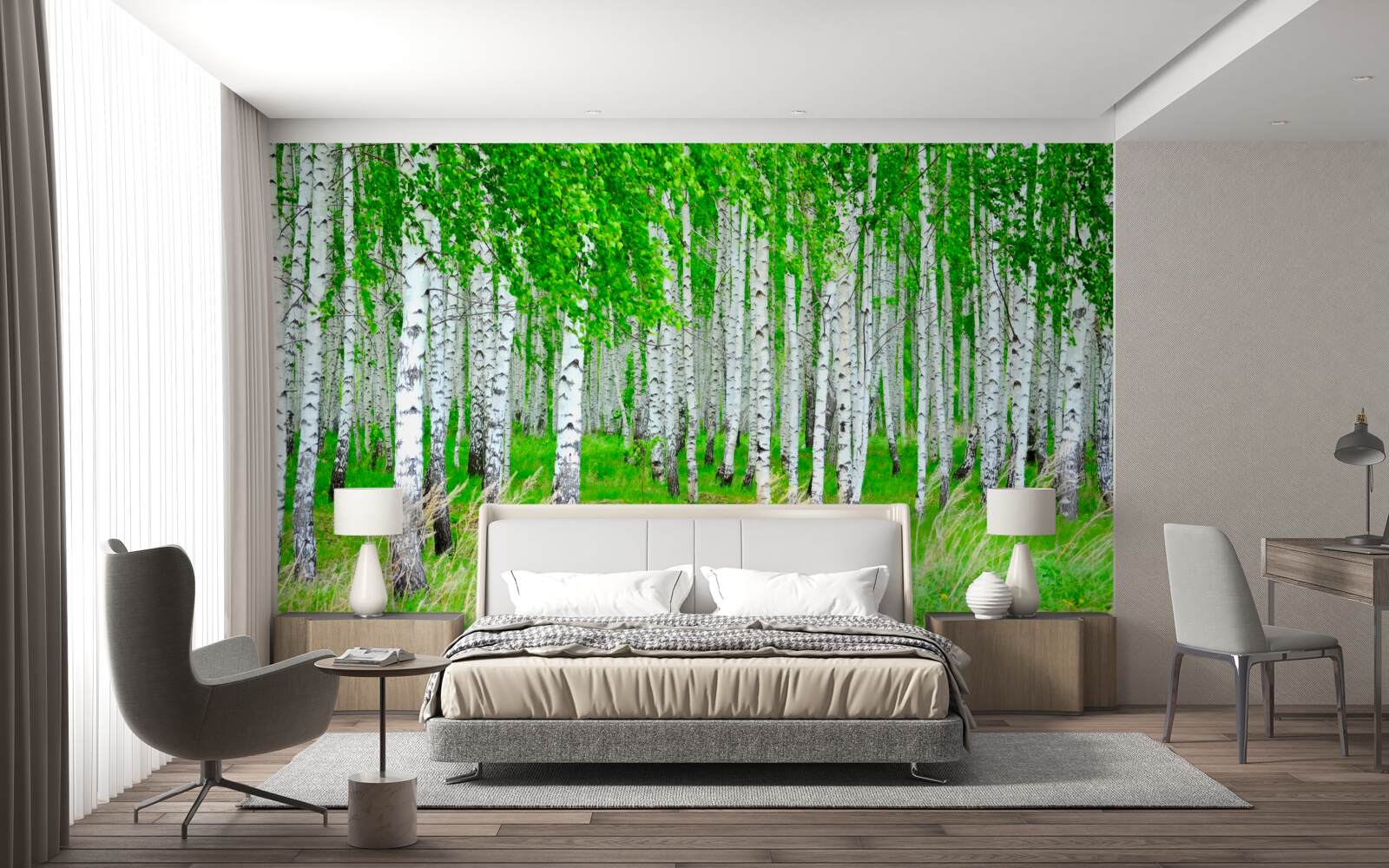 Fototapet câmp cu mesteceni în fundal