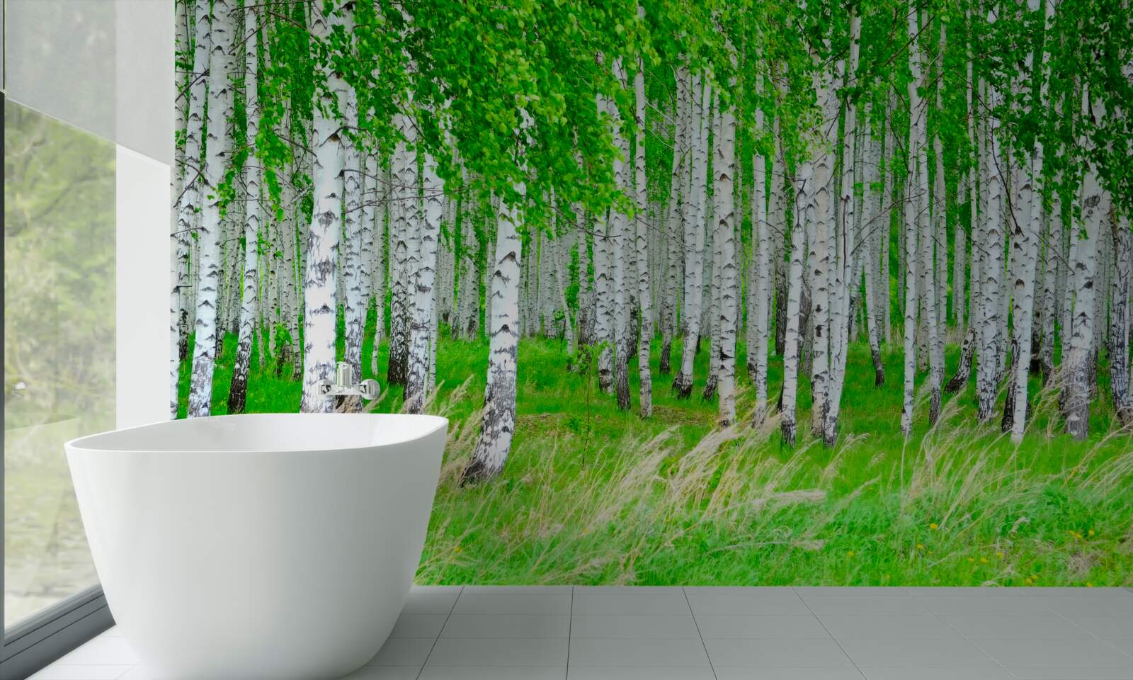 Fototapet câmp cu mesteceni în fundal