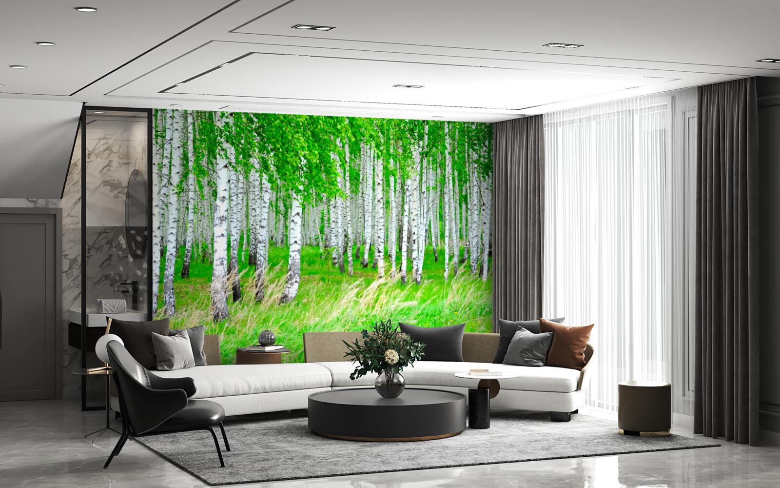 Fototapet câmp cu mesteceni în fundal