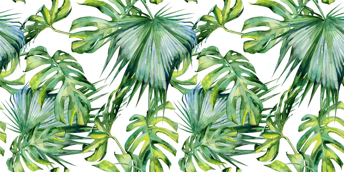 Fototapet varietate mare de plante verzi