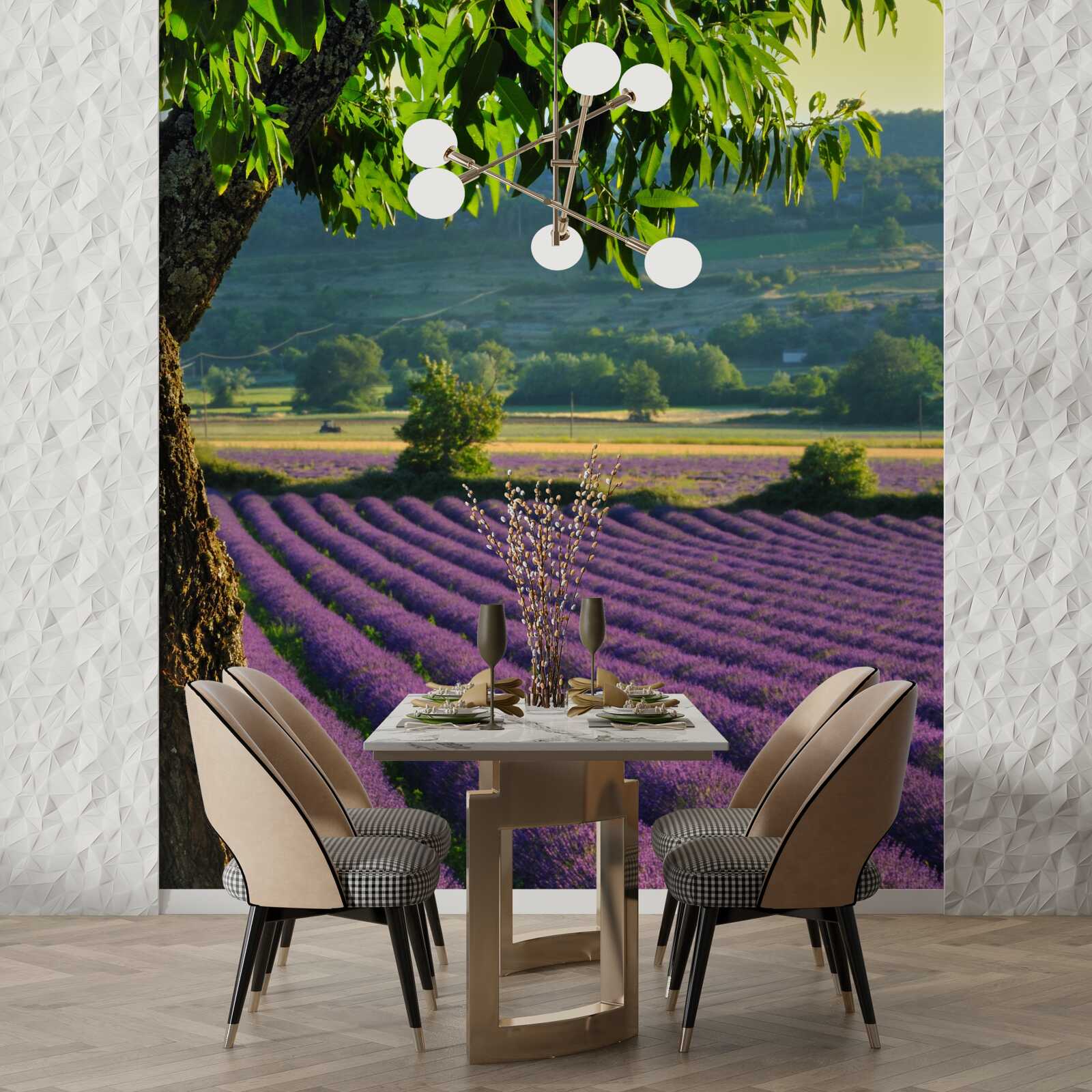 Fototapet un câmp parfumat cu levănțică