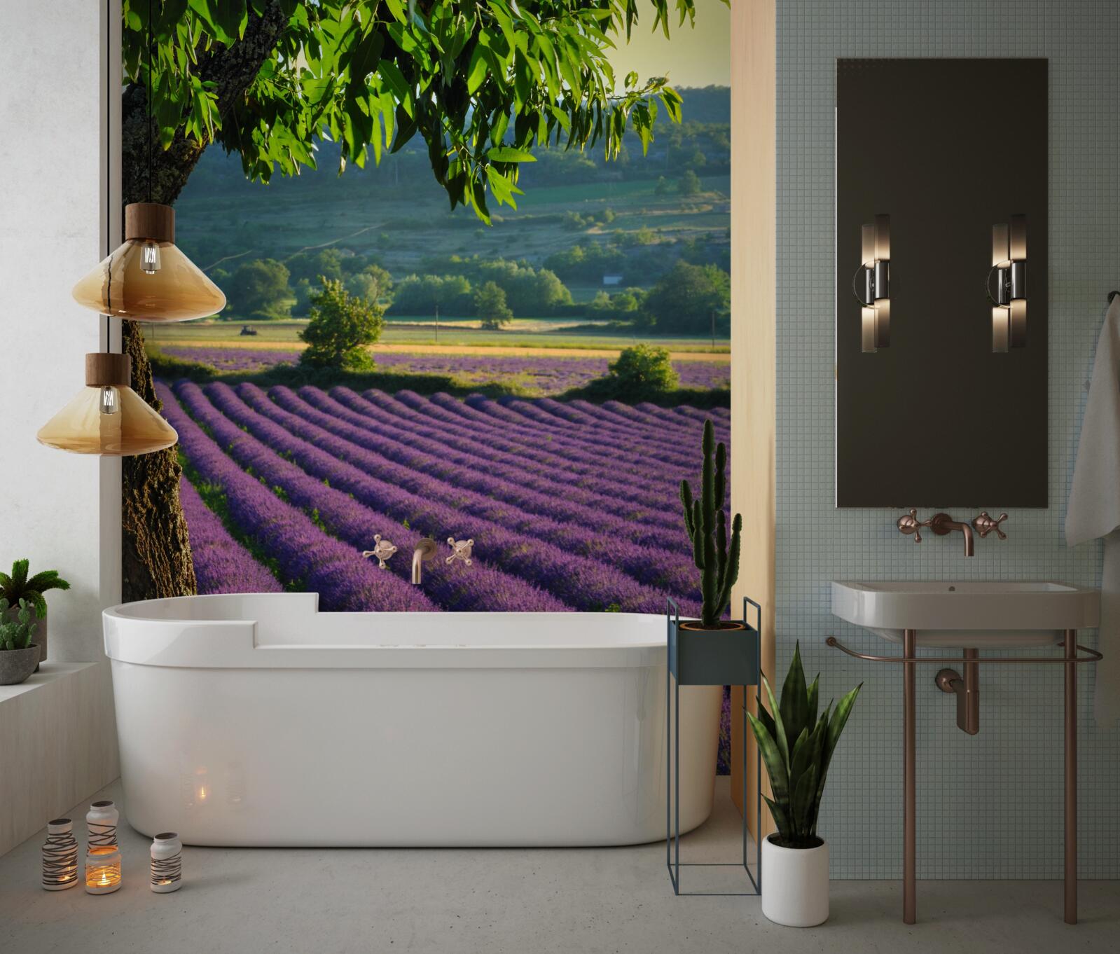 Fototapet un câmp parfumat cu levănțică