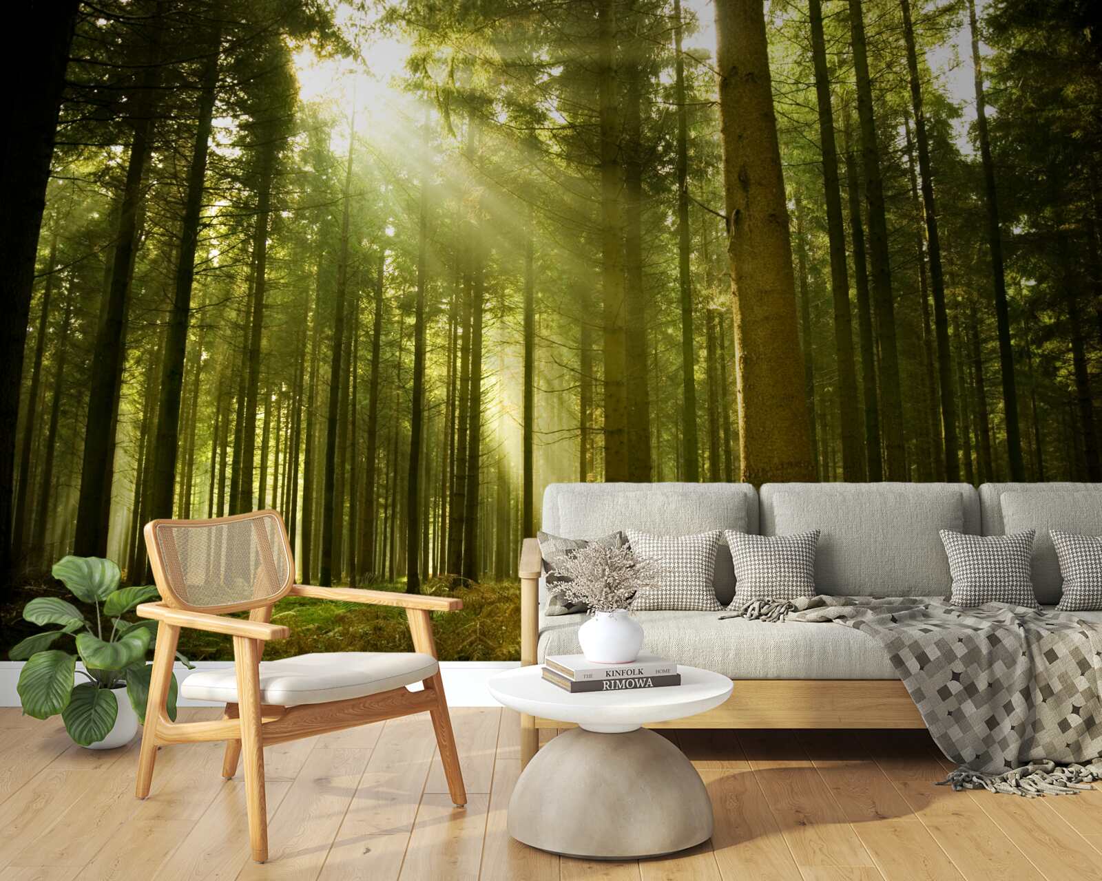 Fototapet razele soarelui luminează pădurea