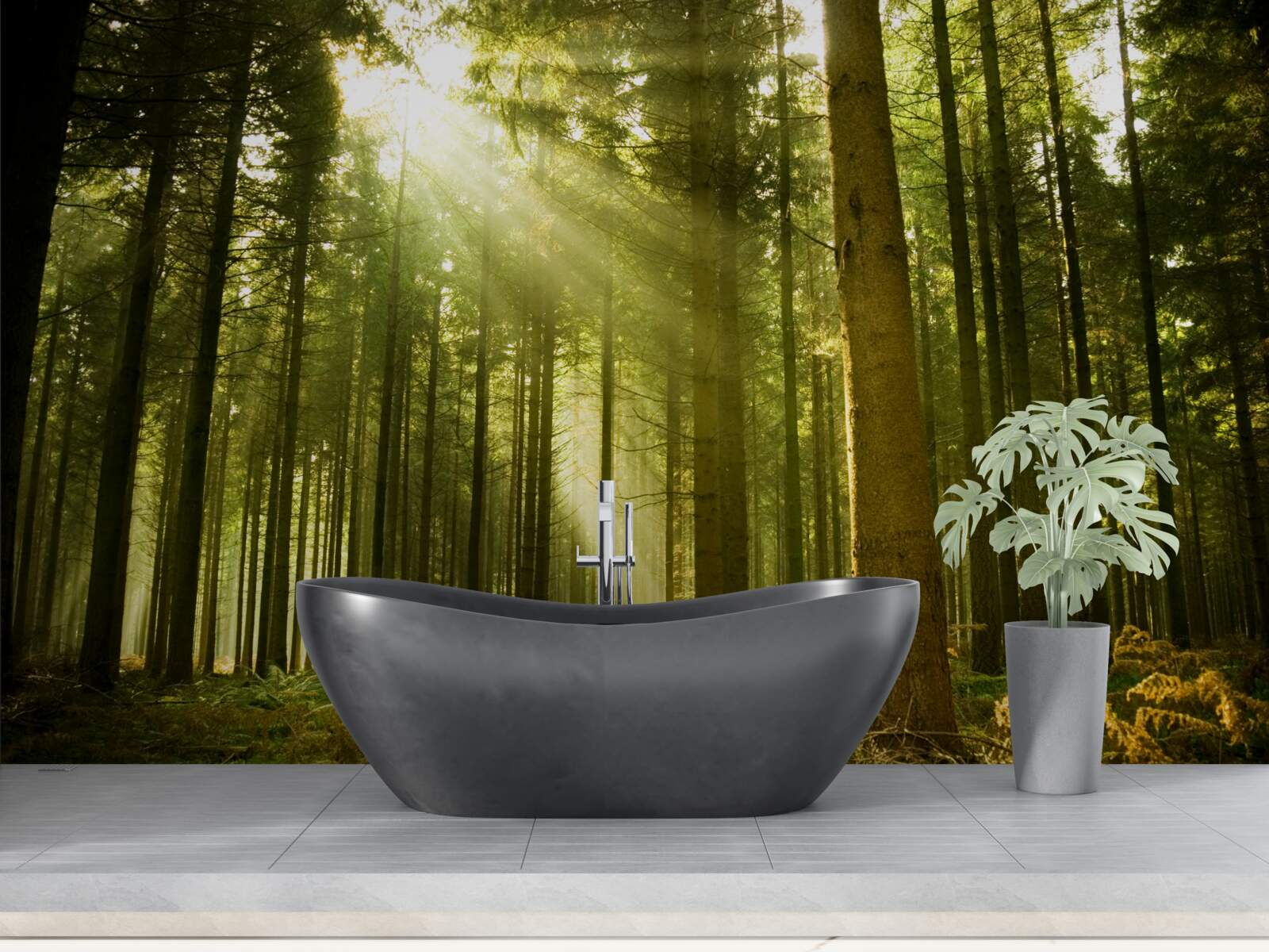 Fototapet razele soarelui luminează pădurea