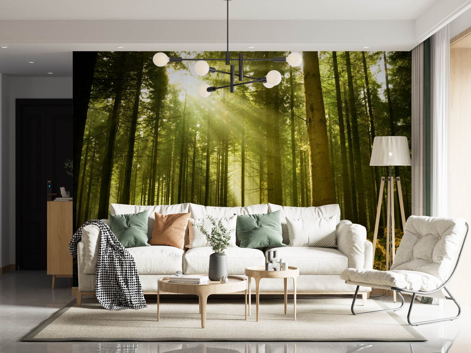 Fototapet razele soarelui luminează pădurea