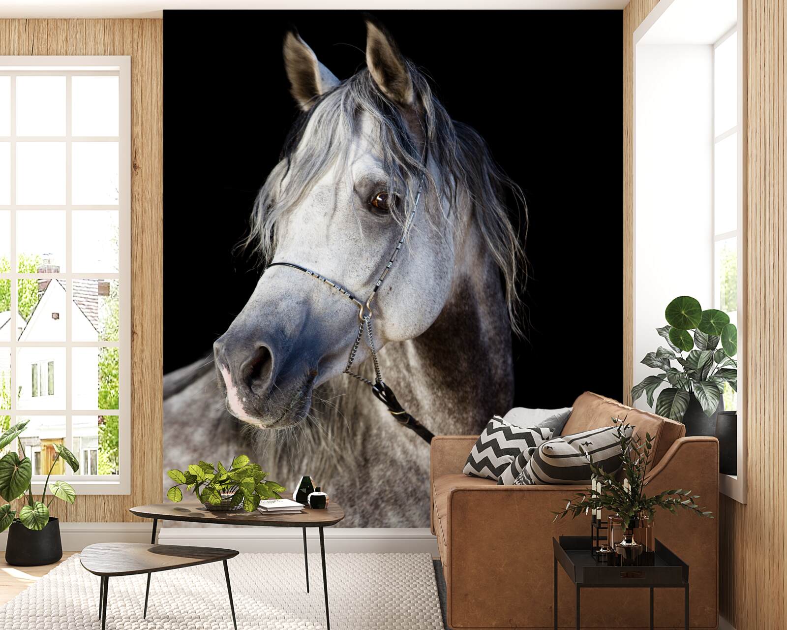 Fototapet siluetă elegantă a unui cal pe un fundal întunecat