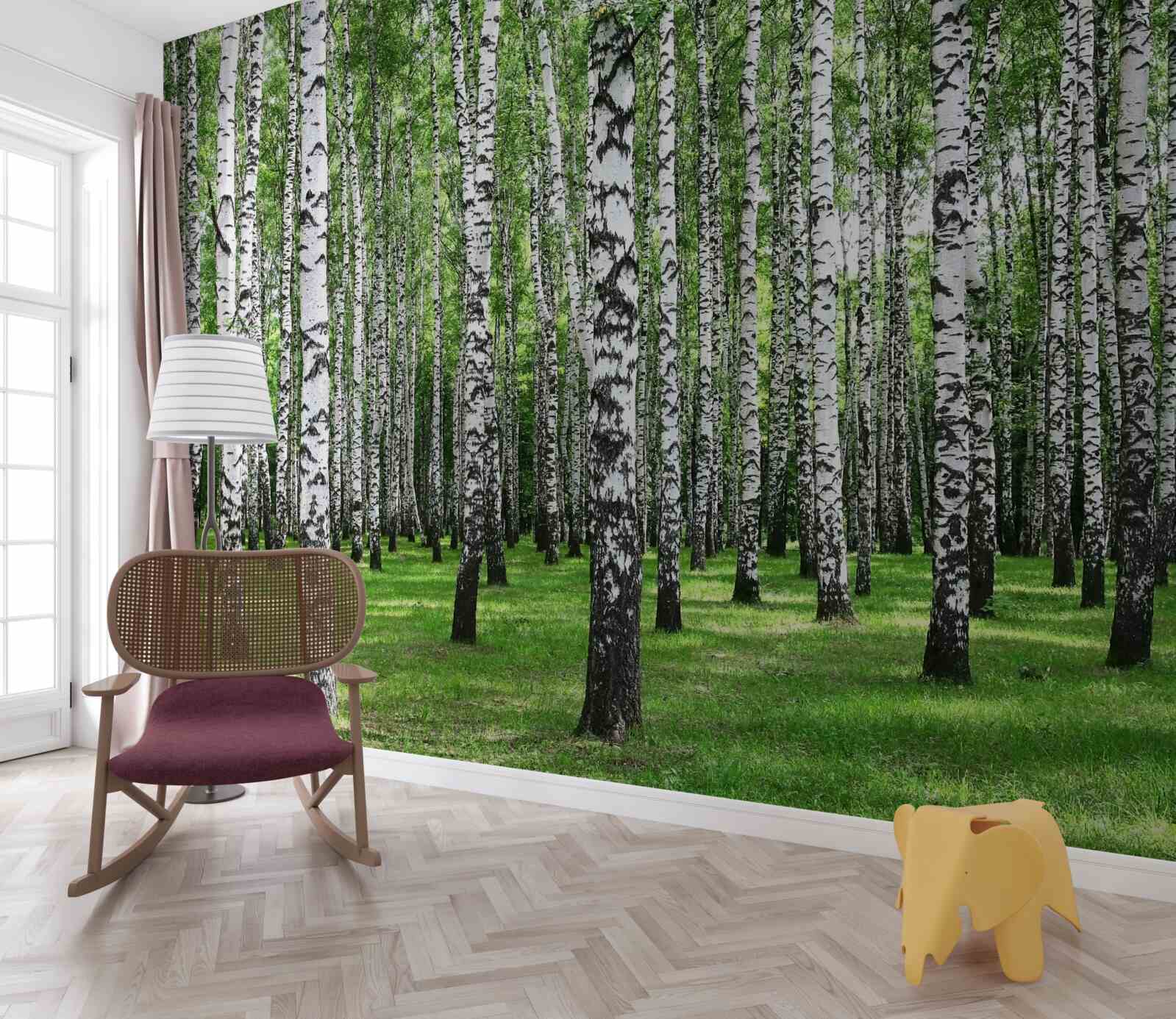 Fototapet livadă de mesteacăn extinsă