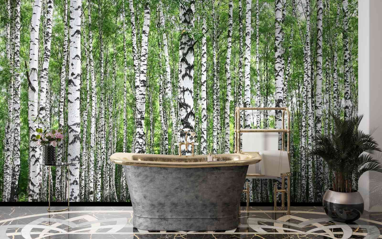 Fototapet livadă de mesteacăn extinsă