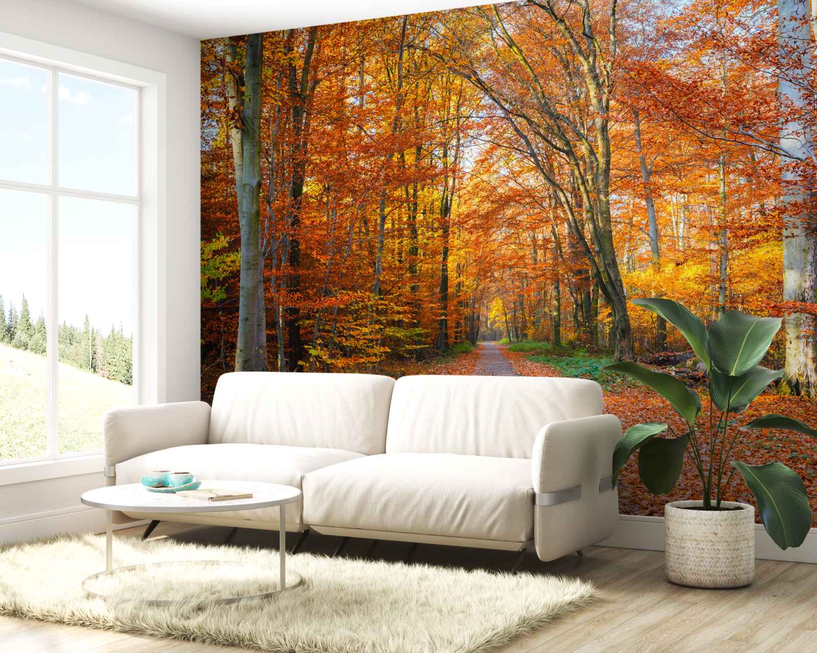 Fototapet copaci cu frunze care cad toamna