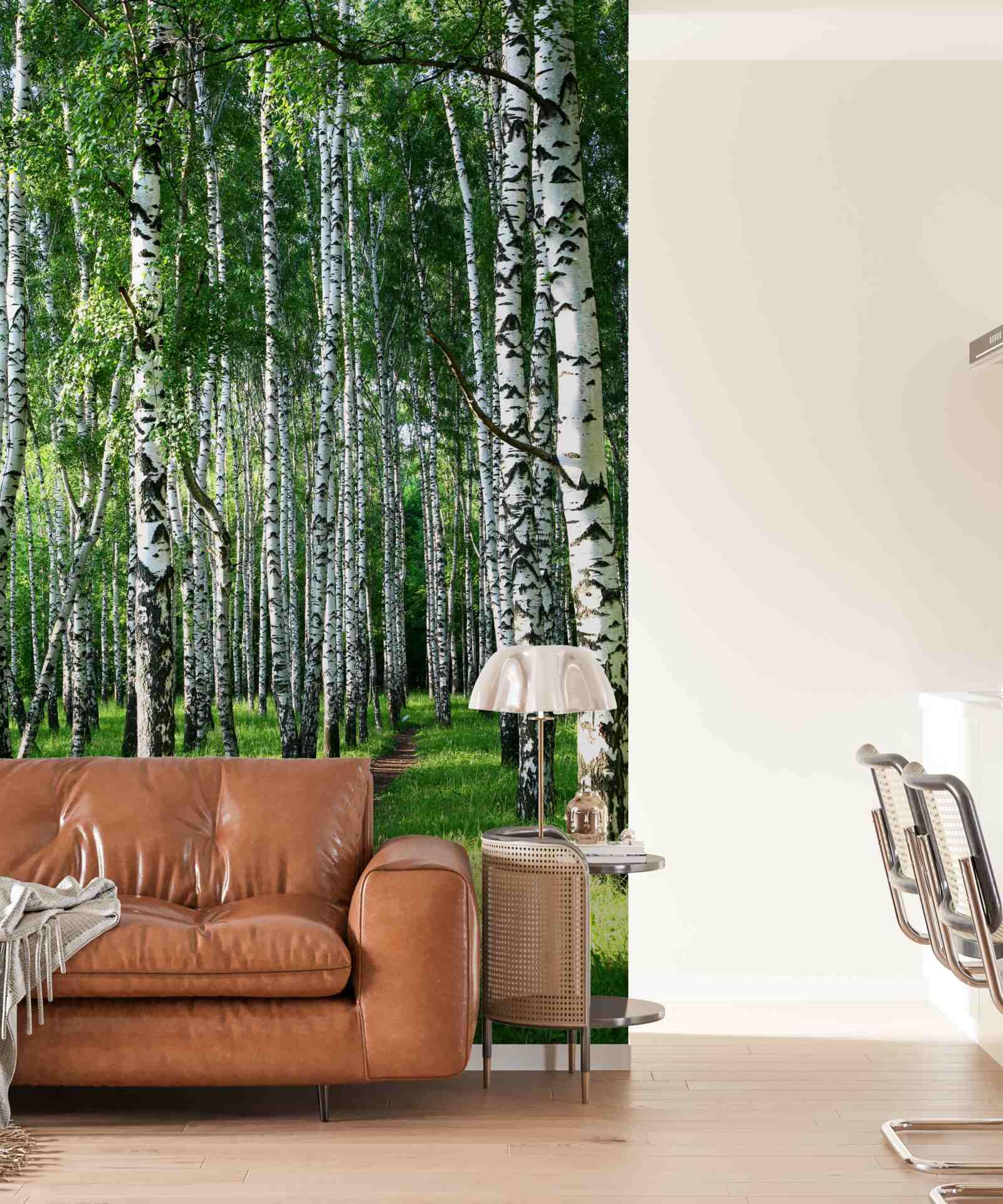 Fototapet cărare printr-o livadă de mesteceni