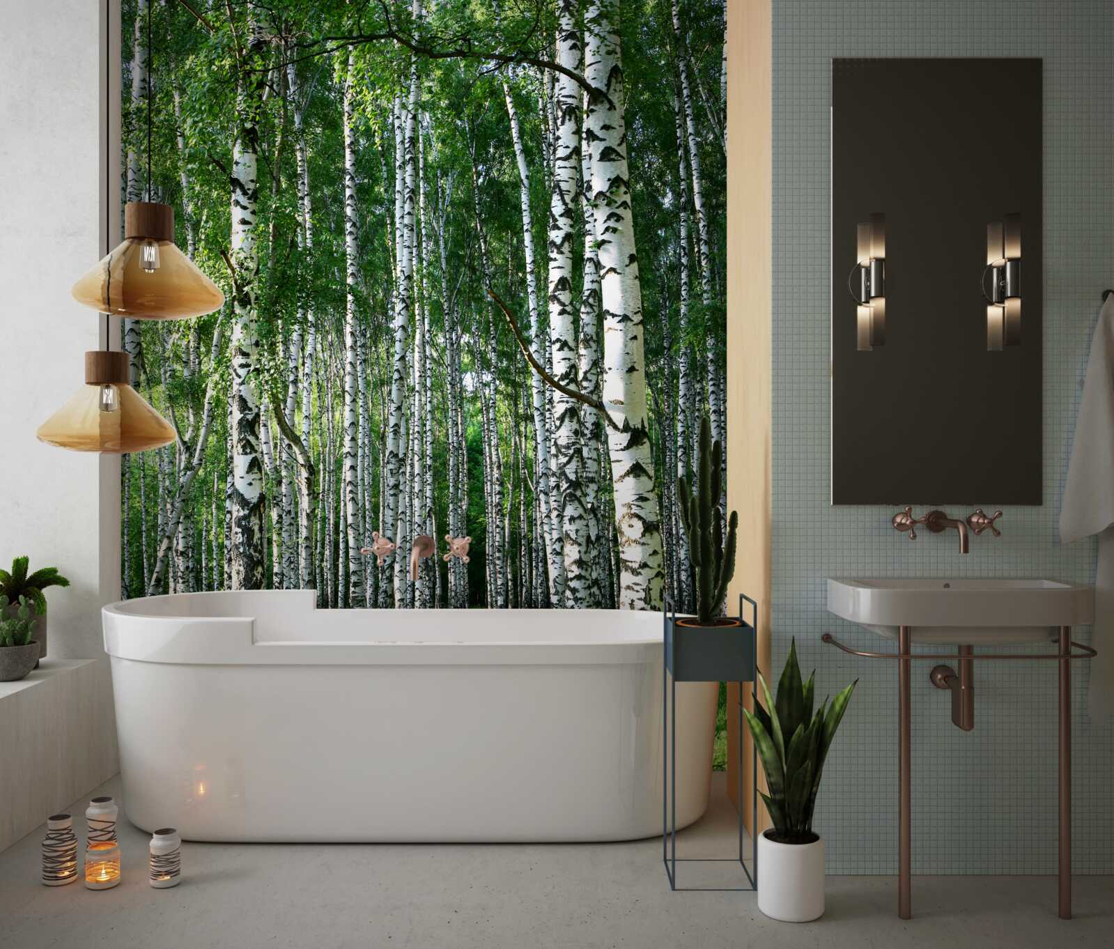 Fototapet cărare printr-o livadă de mesteceni