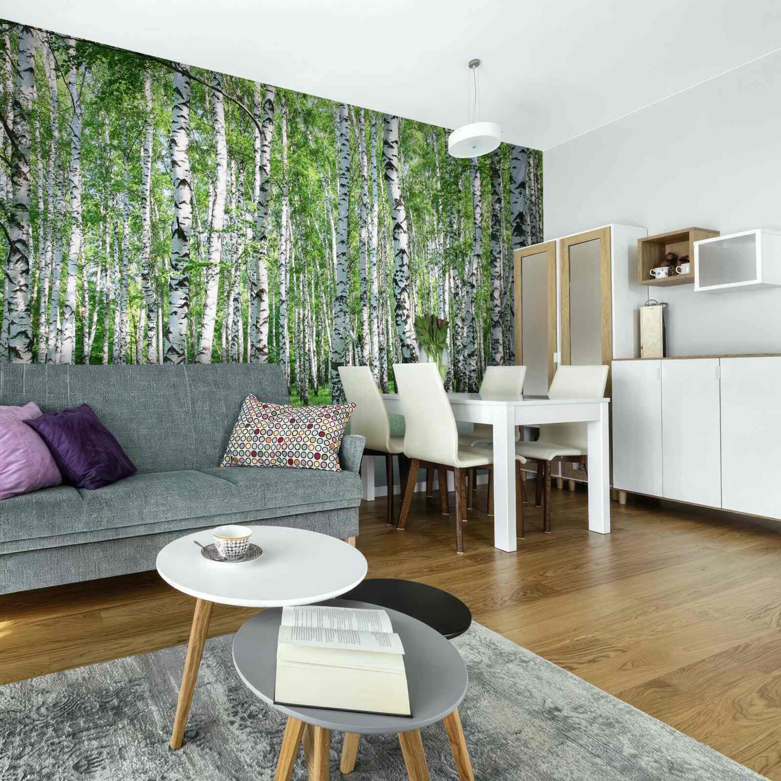 Fototapet există o mulțime de mesteceni în pădure