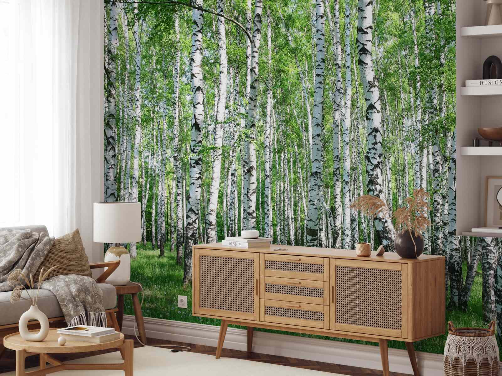 Fototapet există o mulțime de mesteceni în pădure