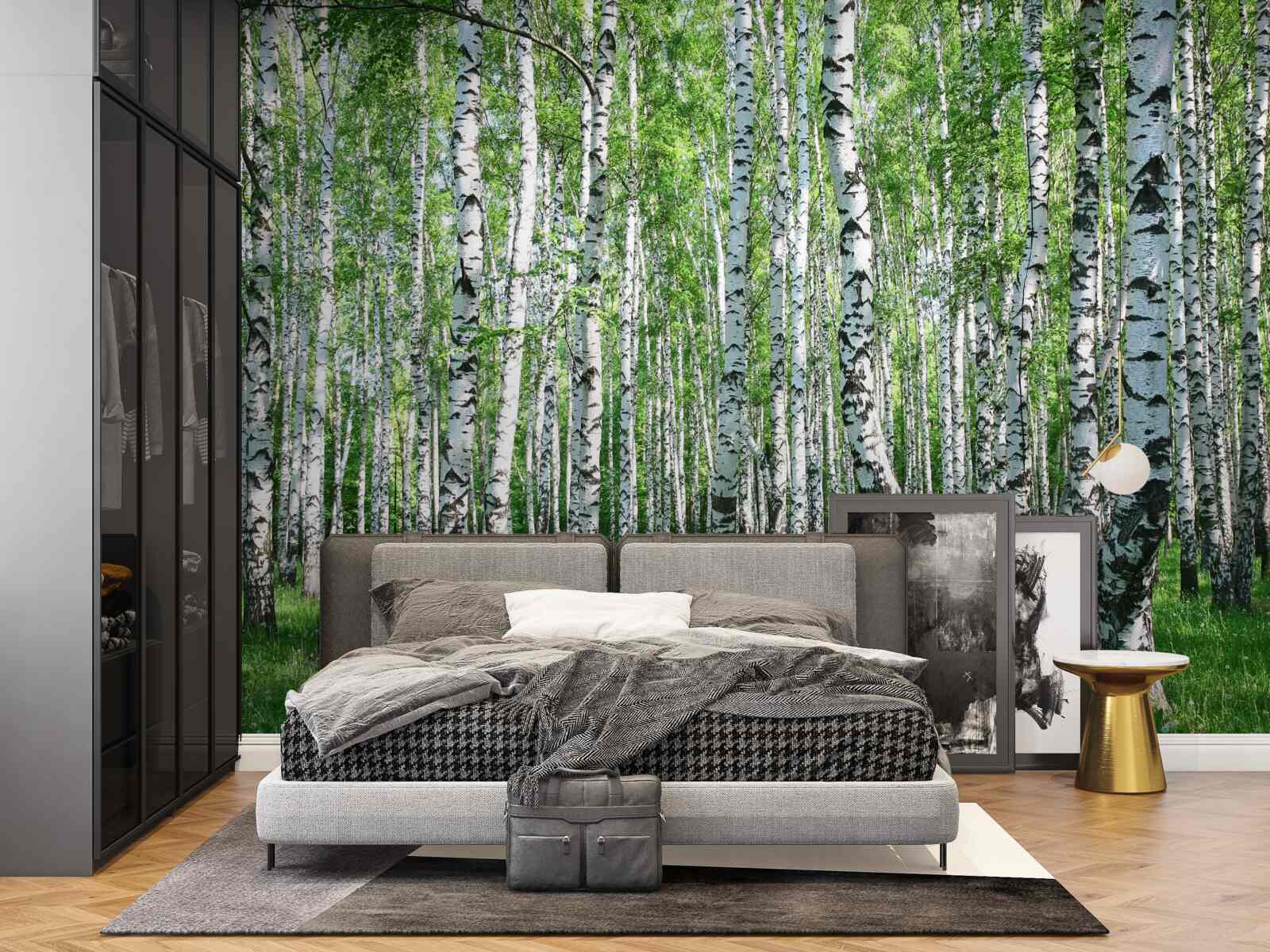 Fototapet există o mulțime de mesteceni în pădure