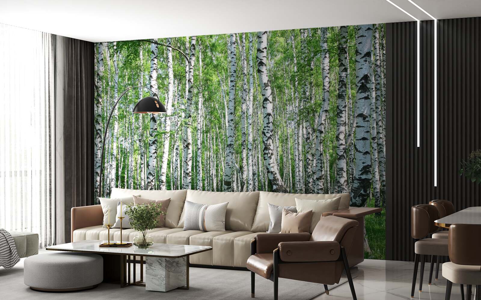 Fototapet există o mulțime de mesteceni în pădure